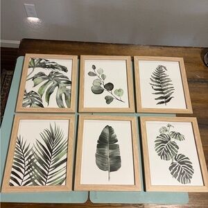 Set of 6 Botanical Leaf Prints with Wooden Frames 9x11